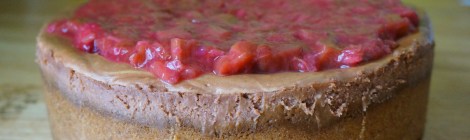 Chocolate cheesecake with gingered rhubarb topping