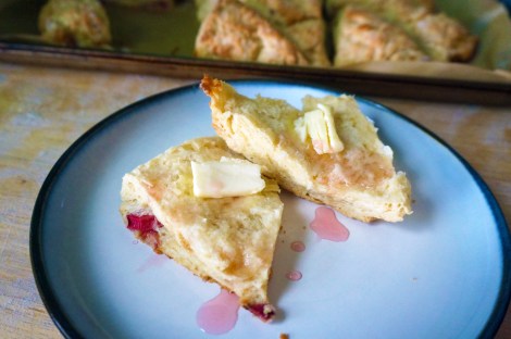 A rhubarb buttermilk scone, split in half, rests on a small plate, small pats of butter melting on each upturned face. A pale pink syrup is drizzled over both halves. In the background, we see the rest of the pan of scones, waiting.