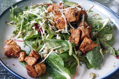 Salad greens mounded on a plate, interspersed with dark-red cranberries, olive-green pepitas, and bright white shreds of manchego cheese. Chunks of juicy brown chicken lay on top; some have tumbled down to the side.